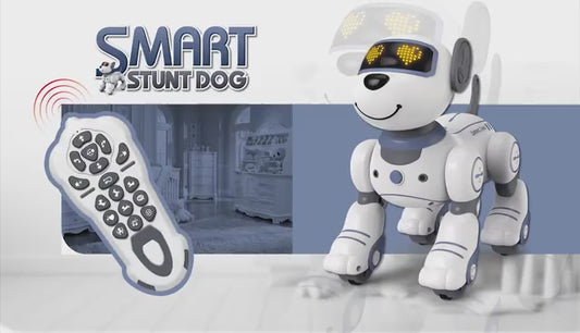 RC Robot Hund