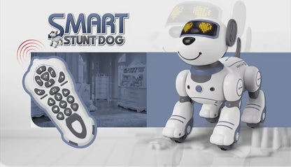 RC Robot Hund